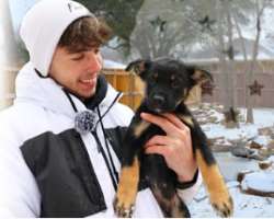 There is no need to say that Brenten is an animal lover as he saved thousands of fishes from drying up. He has also adopted a black dog.
